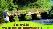 C'est vrai, ici y'a plein de bouchons !