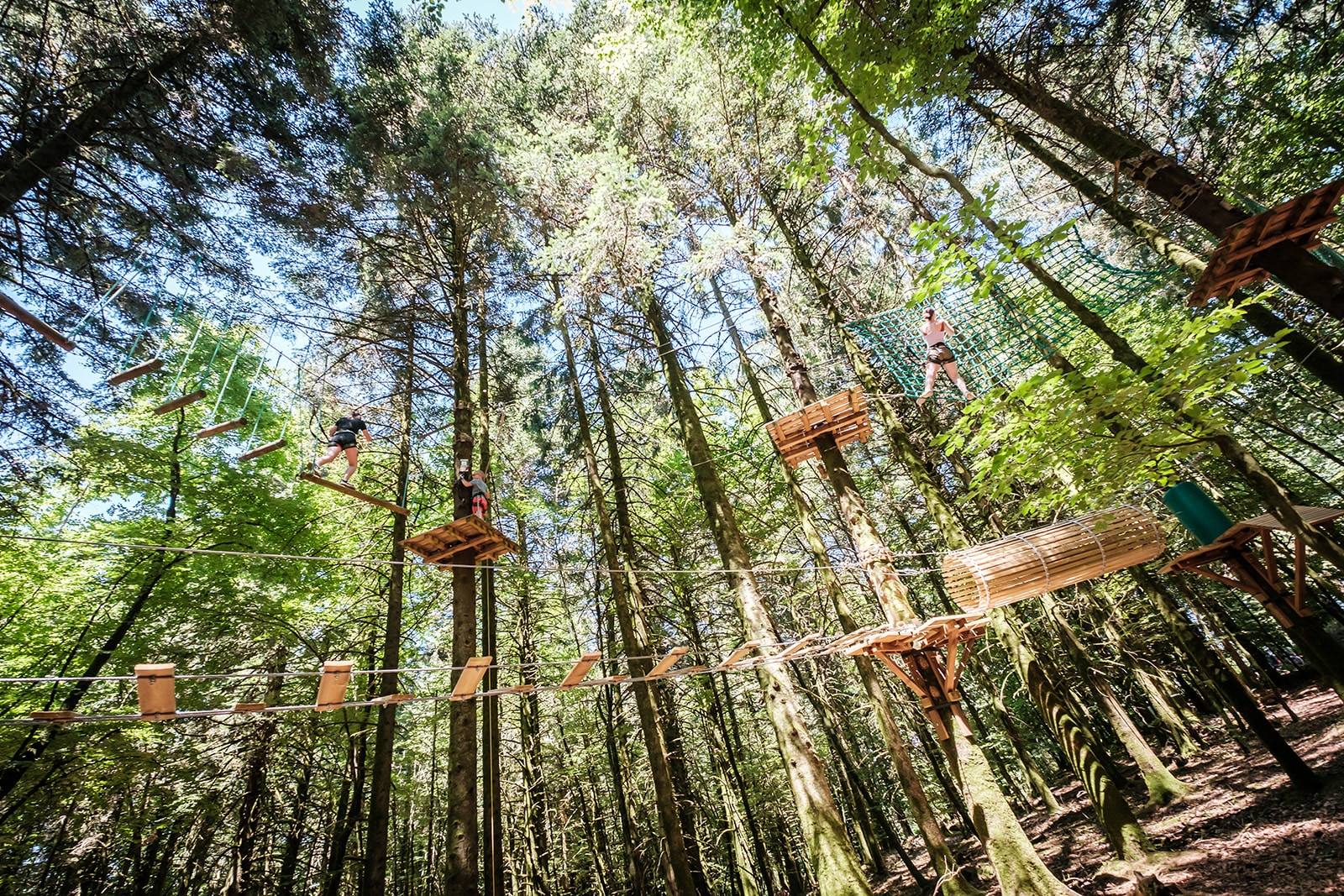 Ateliers dans les arbres au Parc Aventure de Chabrières