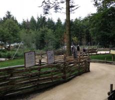 Vue du chemin de la petite boucle